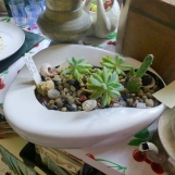 Juxtaposition? Plants in a invalid pan for collecting you know what. Strange bedfellows indeed!