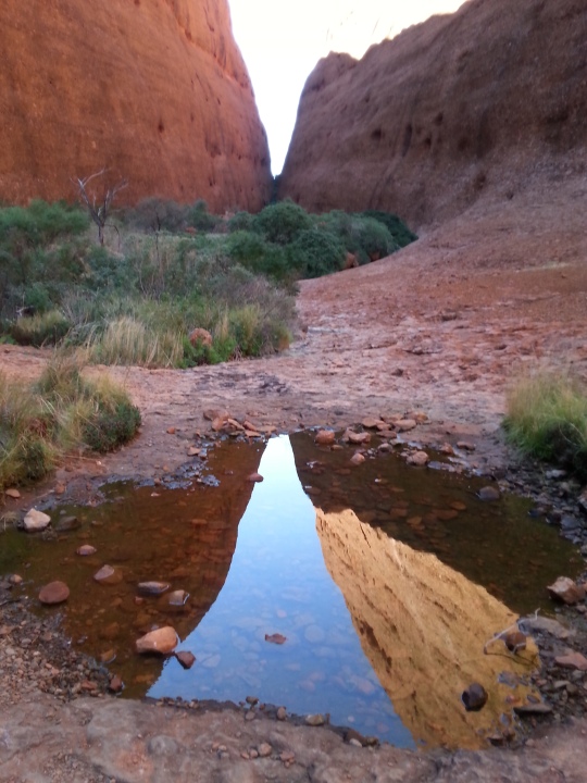 The reflection of Walpa Gorge in a rock pool we came across on our hour's walk to the gorge.