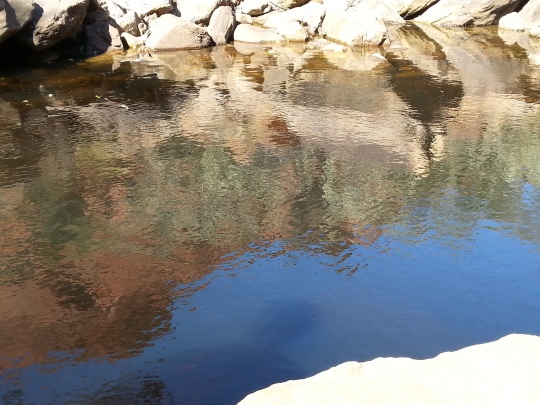 We found a creek on our walk and took this reflection of the cliffs while we had our morning tea by the water.