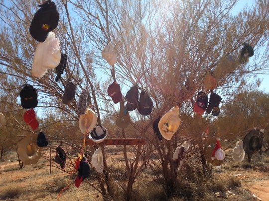 A hat tree we came across at the crossroads between Uluru and Kings Canyon.